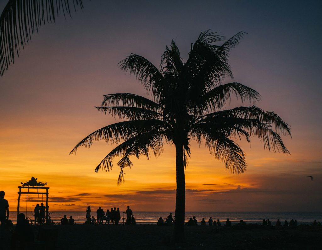 silhouette of palm tree and people on beach